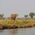 lower zambezi national park