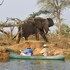 lower zambezi national park