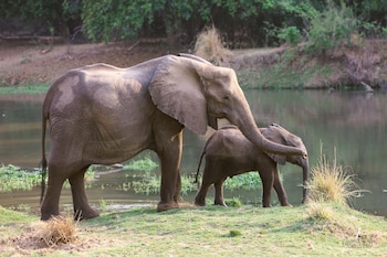 lower zambezi national park