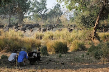 lower zambezi national park