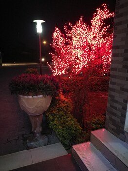 golden zambezi lodge