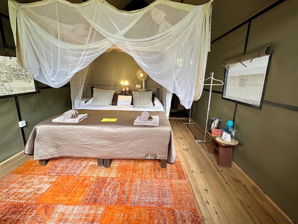 south luangwa national park