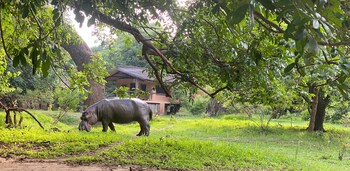 south luangwa national park
