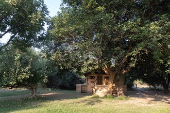 south luangwa national park
