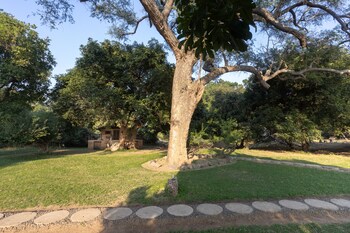 south luangwa national park