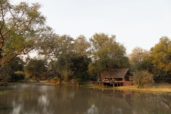 south luangwa national park