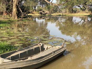 south luangwa national park