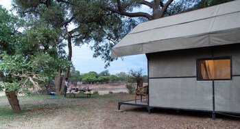 south luangwa national park