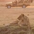south luangwa national park