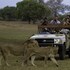 south luangwa national park