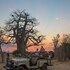south luangwa national park