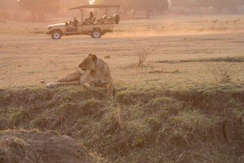 south luangwa national park