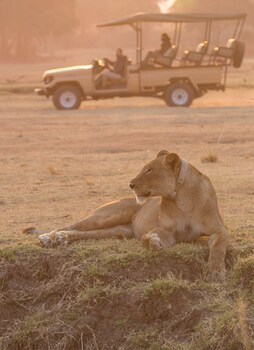 south luangwa national park