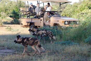 south luangwa national park