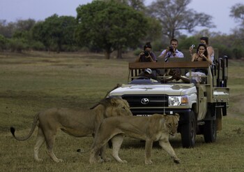 south luangwa national park