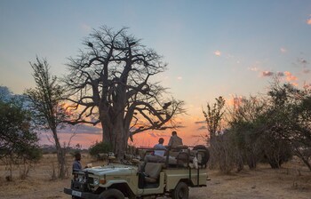 south luangwa national park