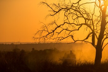 south luangwa national park