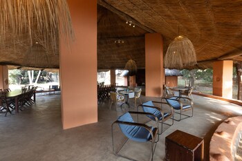 south luangwa national park