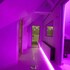vila barovic and spa