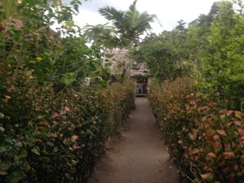 volcano island paradise