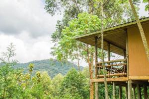 ichumbi gorilla lodge