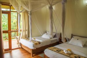 ichumbi gorilla lodge