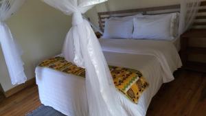 ichumbi gorilla lodge