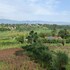 fort portal