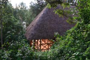 lake bunyonyi eco resort