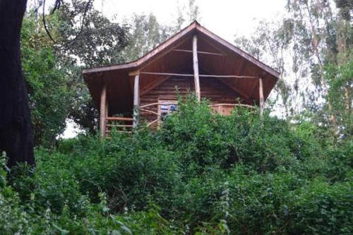 lake bunyonyi eco resort