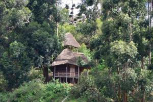 lake bunyonyi eco resort