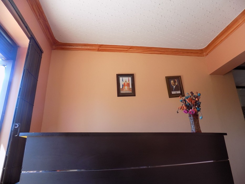 Olina Hotel And Apartments,Central Region>>Kampala,3 star