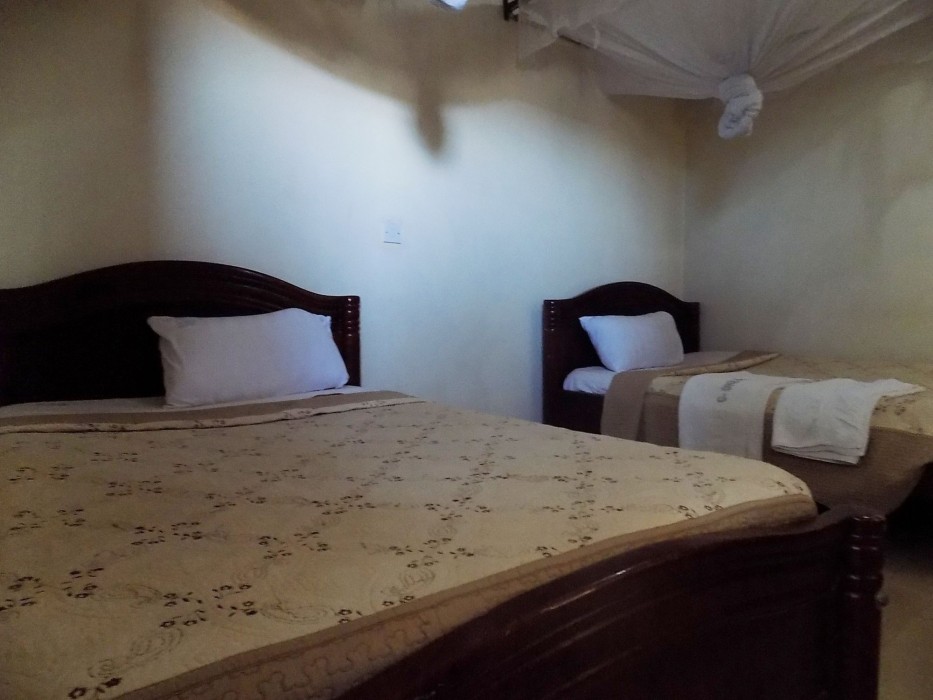 g one hotel