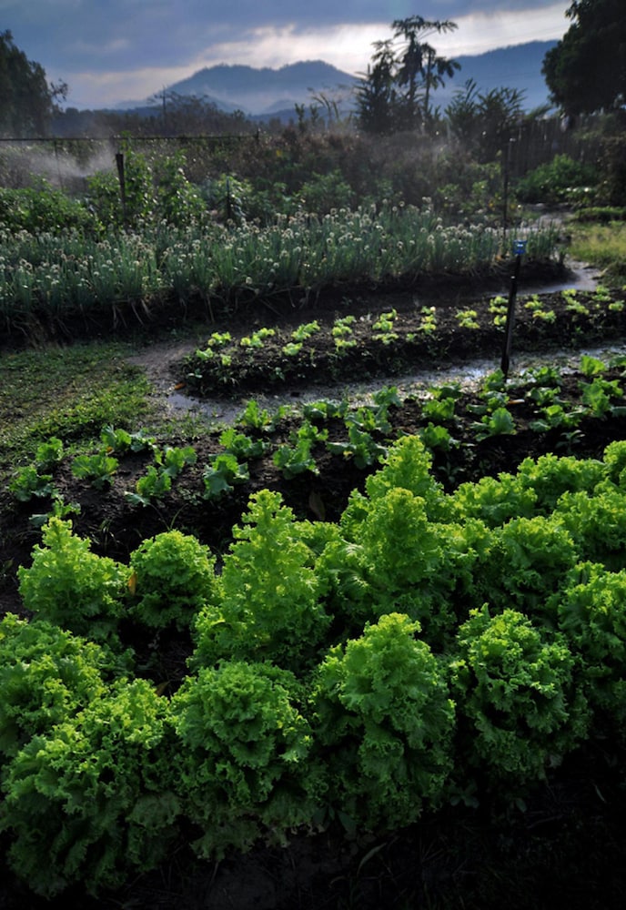 rai saeng arun resort