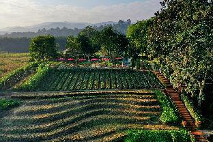 rai saeng arun resort