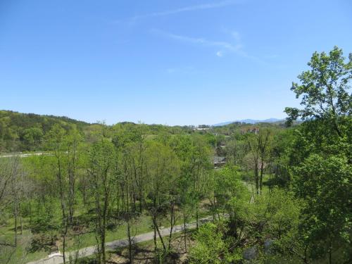 pigeon forge