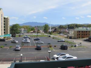 pigeon forge