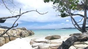 green bay samed resort