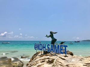 green bay samed resort