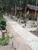 lanta maikeaw bungalow