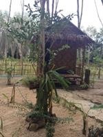 lanta maikeaw bungalow