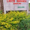 lanta maikeaw bungalow
