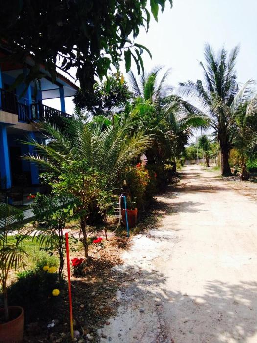 ko lanta