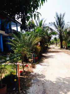 ko lanta