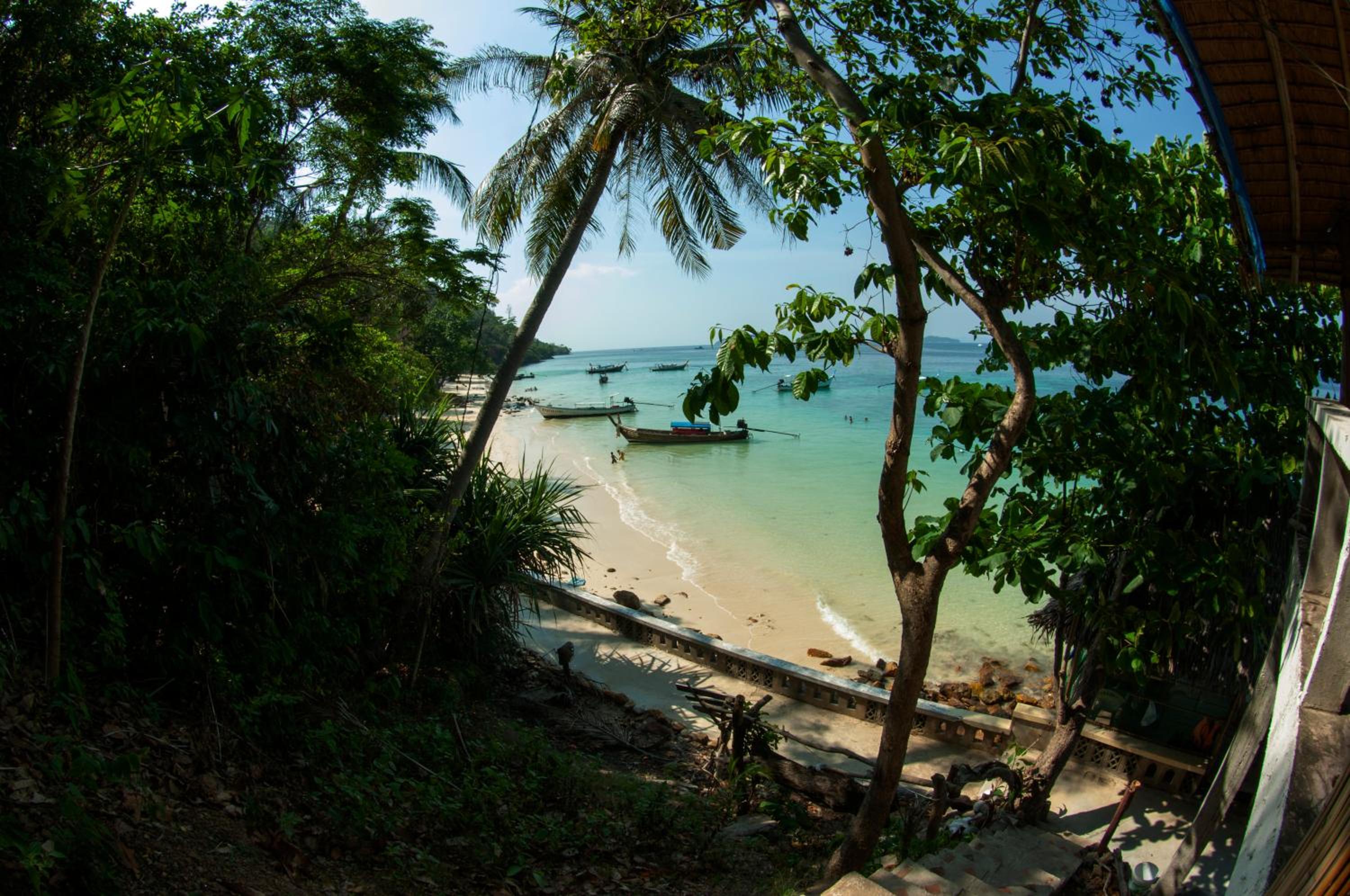 ko phi phi