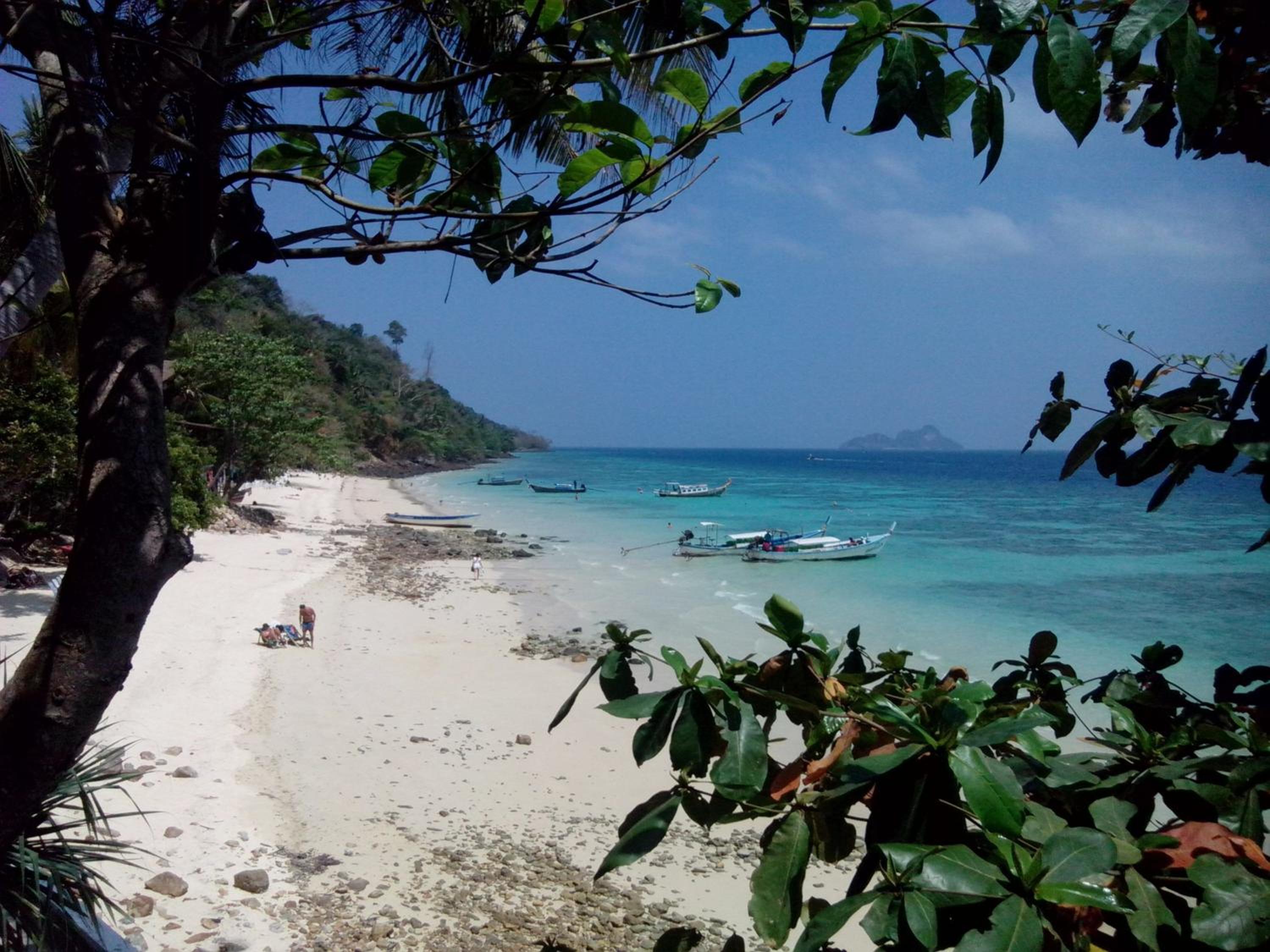 ko phi phi