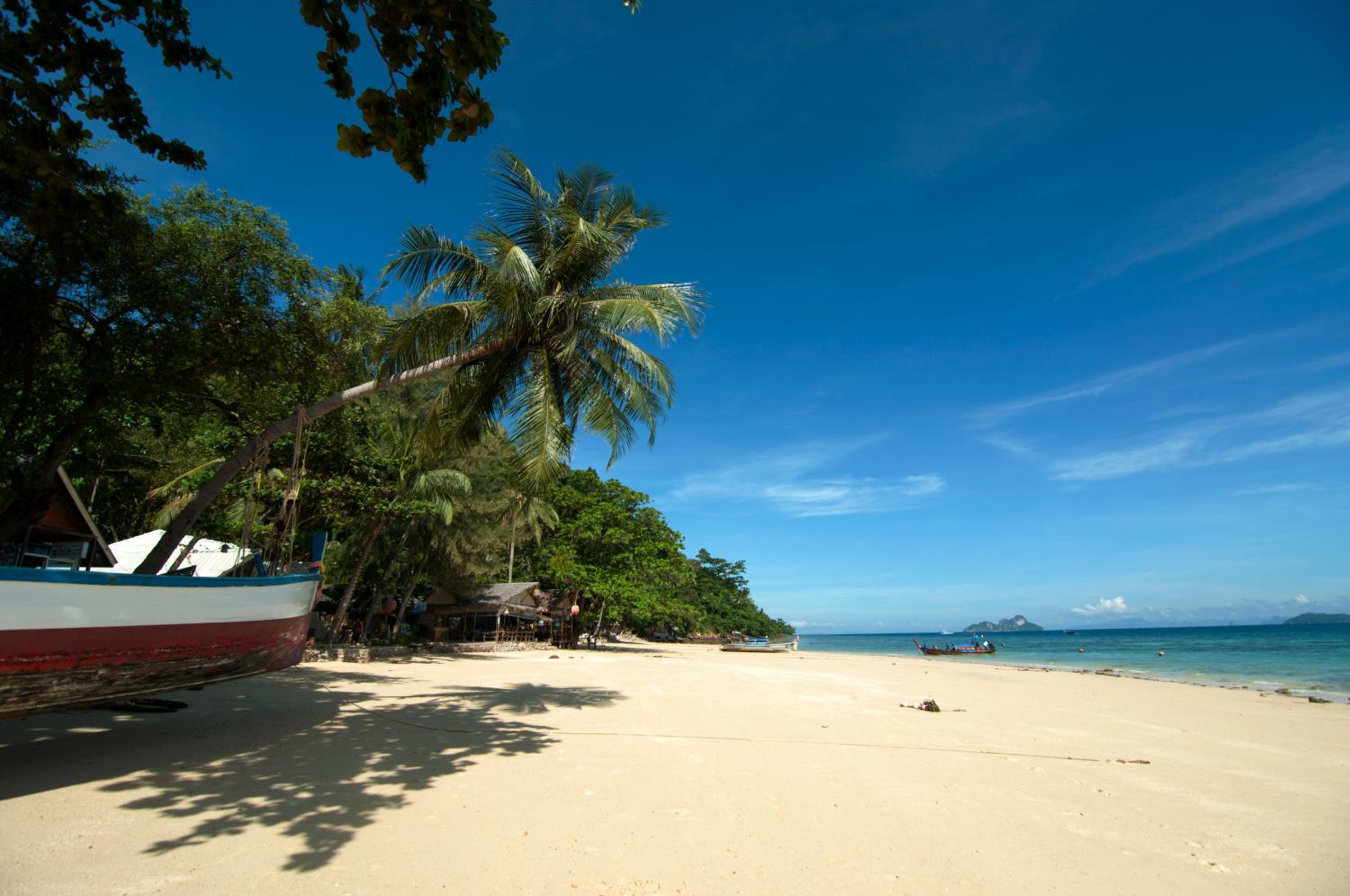 ko phi phi