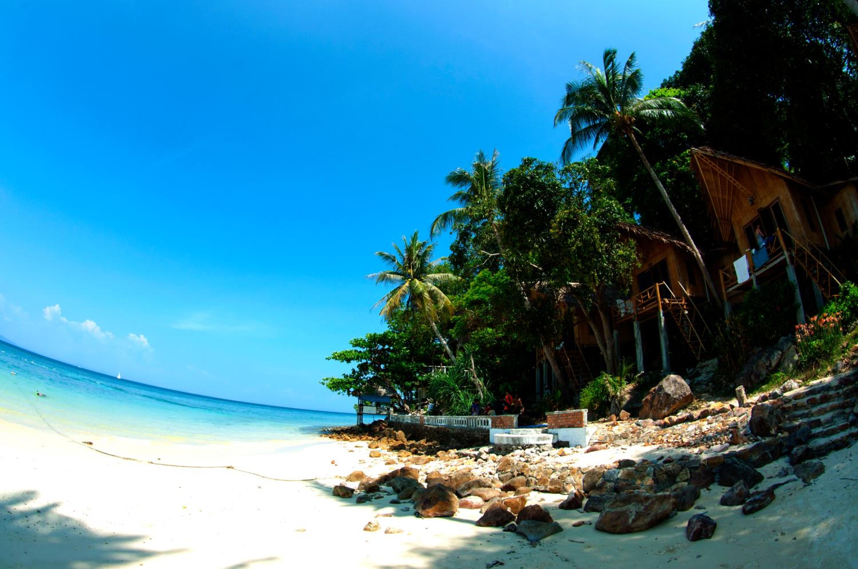 ko phi phi