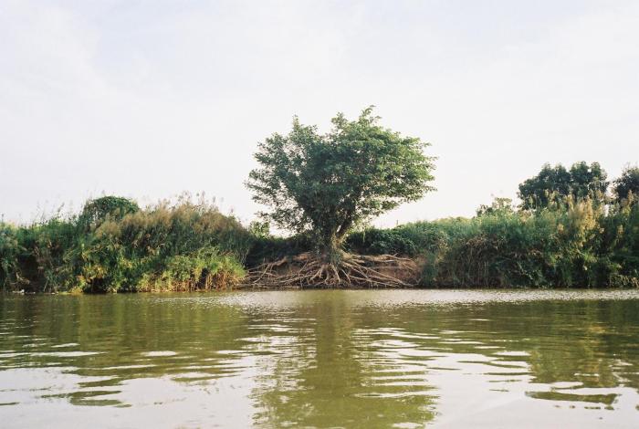 stockhome hostel ayutthaya