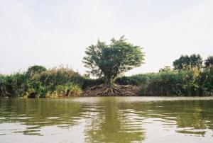 stockhome hostel ayutthaya